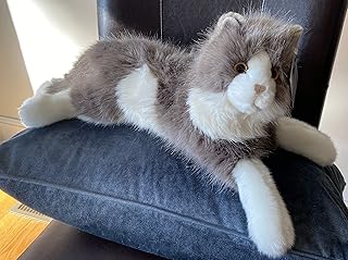 Gray and white ragdoll cat for people with Alzheimer's disease and their caregivers.. Shop smarter with DIAYTAR NIGERIA's comprehensive catalog and budget-friendly 5-8 day delivery.