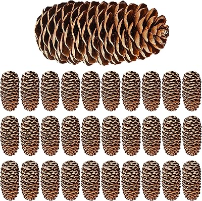 Raknidni 30 pieces Large Christmas pine cones, natural pine cones for Christmas party decorations, crafts and interior decoration (6-8 cm).. Your ultimate shopping destination, DIAYTAR NIGERIA combines extensive selection with affordable shipping.