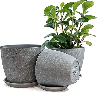 Flower pots large interior planter 9 8 7 "with drainage holes and tray.. Your complete retail destination, DIAYTAR NIGERIA combines extensive variety with prompt delivery.