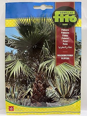 Fito® seeds - Washington palm (10 grams) - Washington palm seeds.. DIAYTAR NIGERIA: Your affordable shopping destination with thousands of products delivered in days.