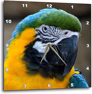 Blue and gold 3drose gold and gold parrot head, wall clock, 38 cm by 38 cm.. Your ideal shopping companion, DIAYTAR NIGERIA offers unmatched variety with delivery within a week.