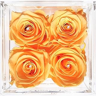 Real roses which last a year - quarter white gold watch with transparent swarovski crystals (fishing).. DIAYTAR NIGERIA brings the market to your fingertips with affordable prices and swift delivery services.