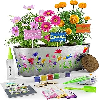 Kit of painting and culture of flowers - Scientific gardening gifts for children for girls and boys aged 4, 5, 6, 7, 8, 10, 11 years old - Art and engineering project activity and crafts engineering.. Experience shopping satisfaction with DIAYTAR NIGERIA's vast selection and budget-friendly delivery options.