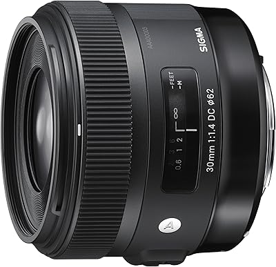 Sigma objective 30 mm F1.4 ex DC HSM for Canon - Black cameras.. DIAYTAR NIGERIA makes quality accessible with our diverse product range and dependable delivery service.
