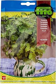 Coriander seeds 20 g.. Your complete shopping solution, DIAYTAR NIGERIA offers extensive choice with competitive prices and delivery.
