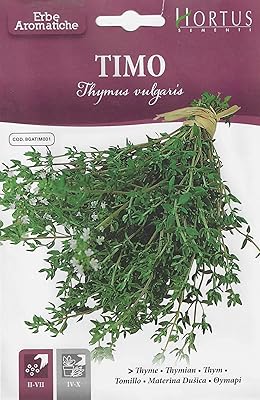 Thymus vulgaris thyme seeds) high quality (made in Italy) by Hortus Cimenti.. DIAYTAR NIGERIA: Empowering Nigerians with access to affordable products and reliable 5-8 day delivery.