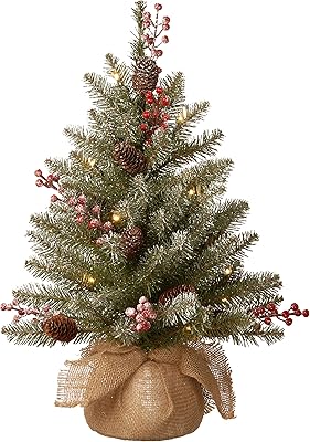 National Tree Company Mini Artificial Christmas Tree, Green, Dunhill Fir, White Lights, decorated with pine cones, bay clusters, crystal branches, includes a canvas bag base, 2 feet.. Your go-to destination for affordable online shopping, DIAYTAR NIGERIA delivers in under 8 days.