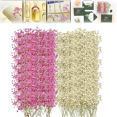 96 mini dried flowers of baby breath for resin crafts.. Big savings, small wait times — shop now at DIAYTAR Nigeria.