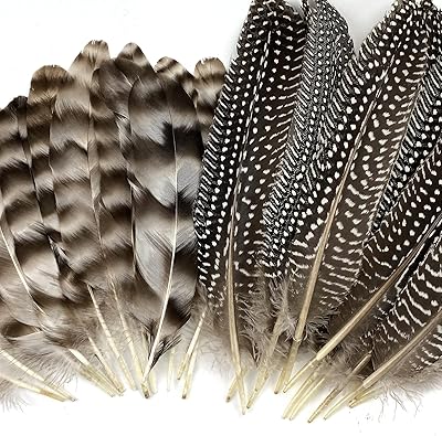 30 pieces of natural pheasant feathers for DIY crafts 15-22 cm wild turkey feathers matching feathers of guinea wings of guinea wedding features at home (2 styles).. Your digital shopping companion, DIAYTAR NIGERIA offers exceptional value with delivery in less than 8 days.