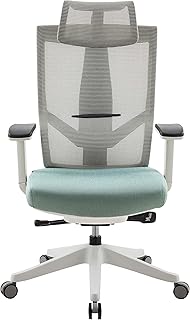 Aero chair, ergonomic design, excellent desktop and computer chair with several adjustable features of Navodesk (light green).. DIAYTAR NIGERIA brings the market to your fingertips with affordable prices and swift delivery services.